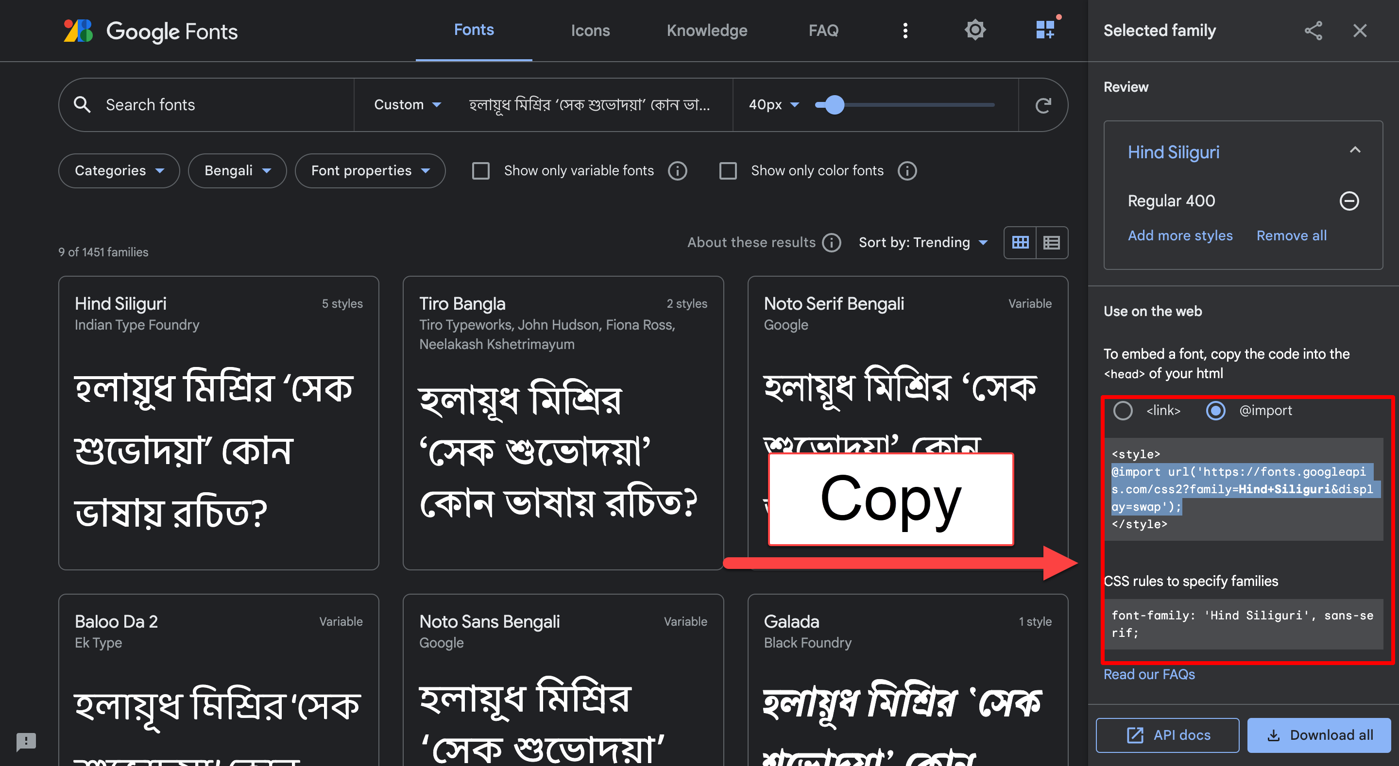 Export Results - Import Google Fonts