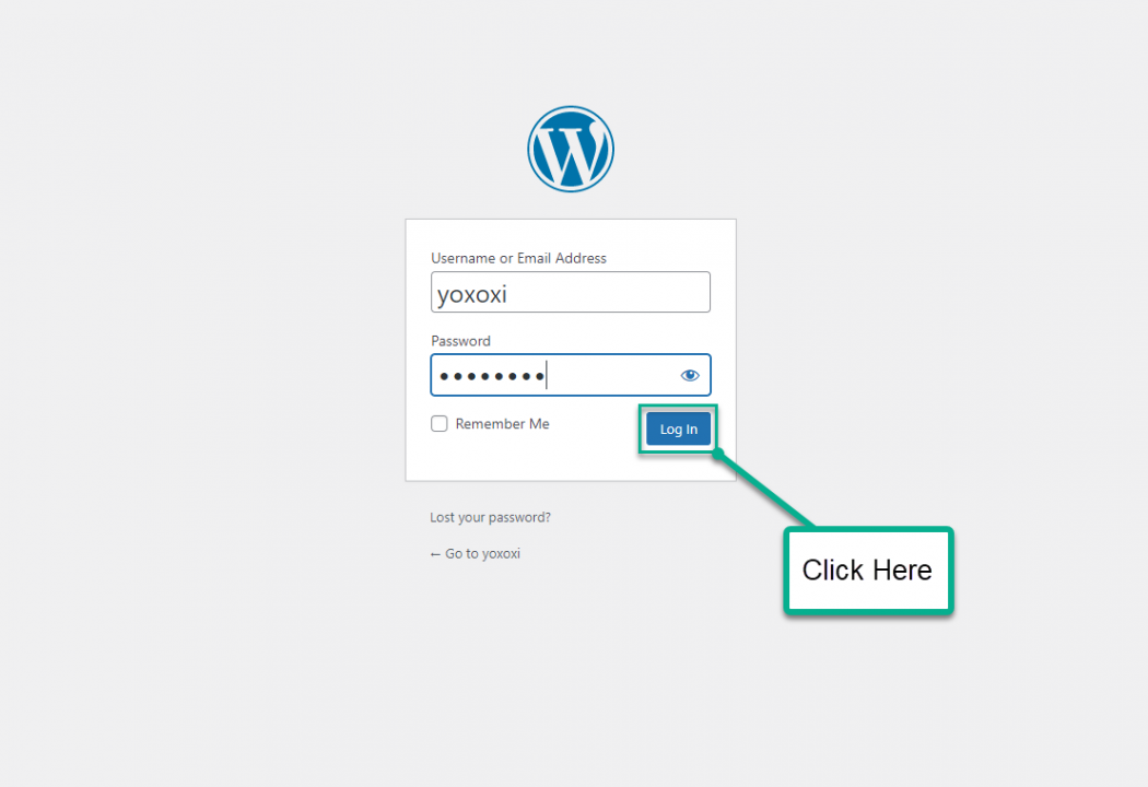 Install WordPress On Sandbox - Login to WordPress Test Site