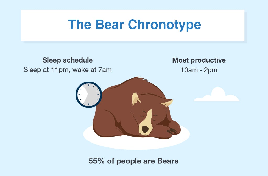 How to Create a Chronotype Quiz- Bear Chronotype