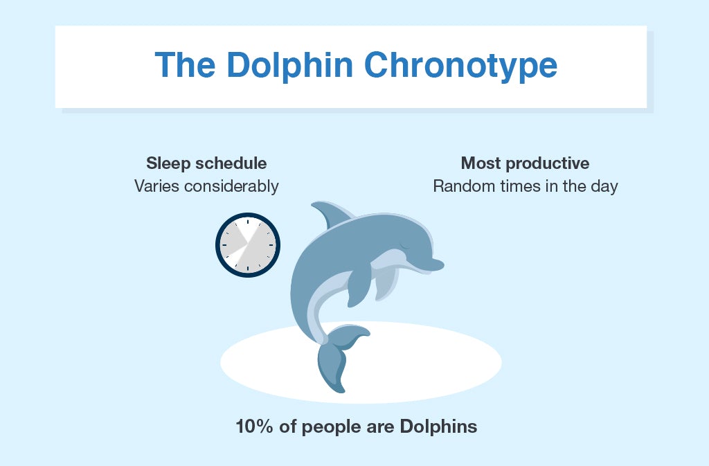How to Create a Chronotype Quiz- Dolphin Chronotype