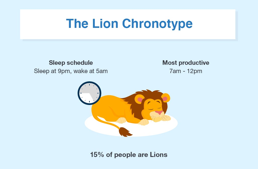 How to Create a Chronotype Quiz- Lion Chronotype