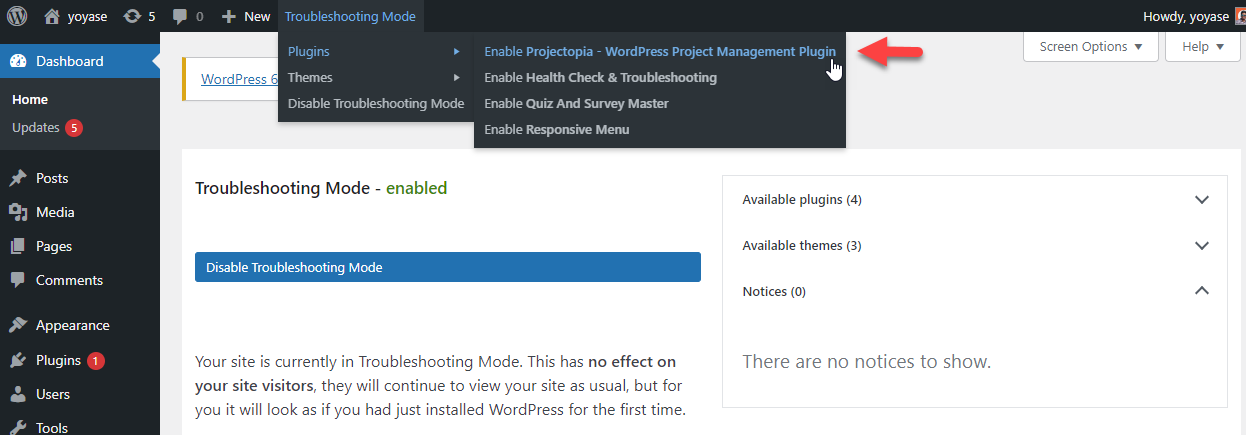 Confirming Theme & Plugin Conflict with QSM - Plugin conflict