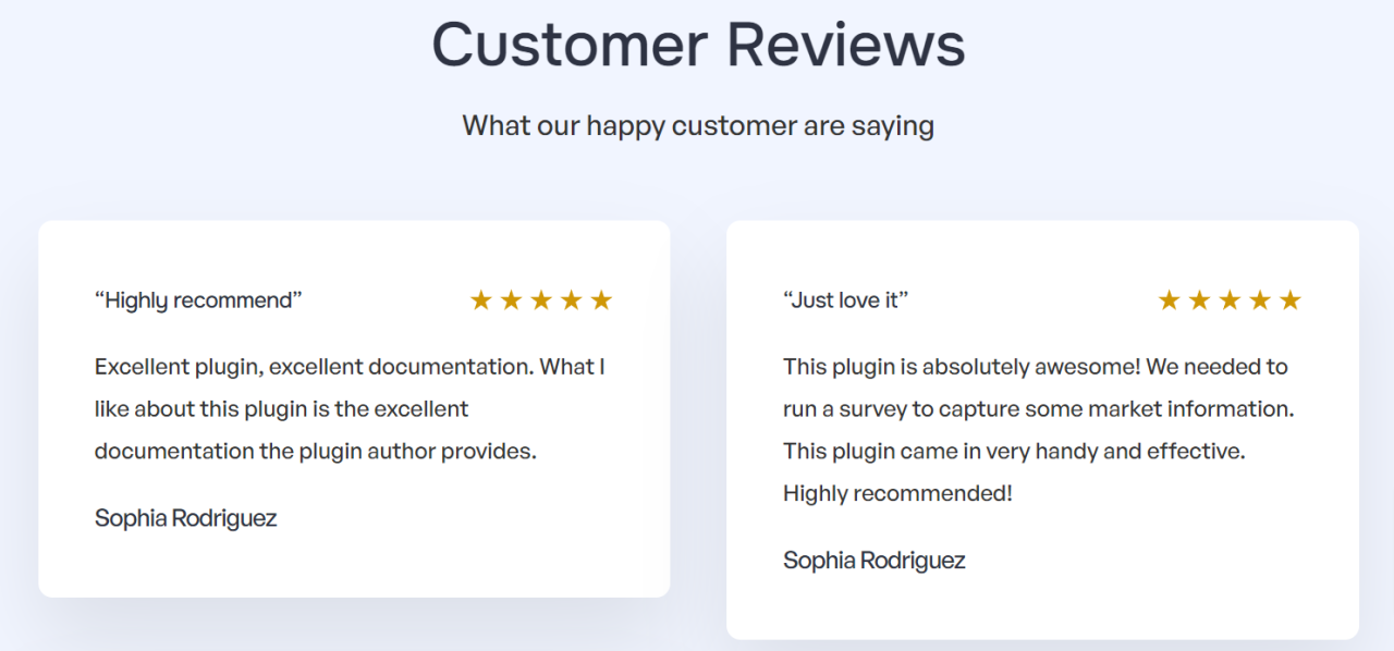 Customer Review