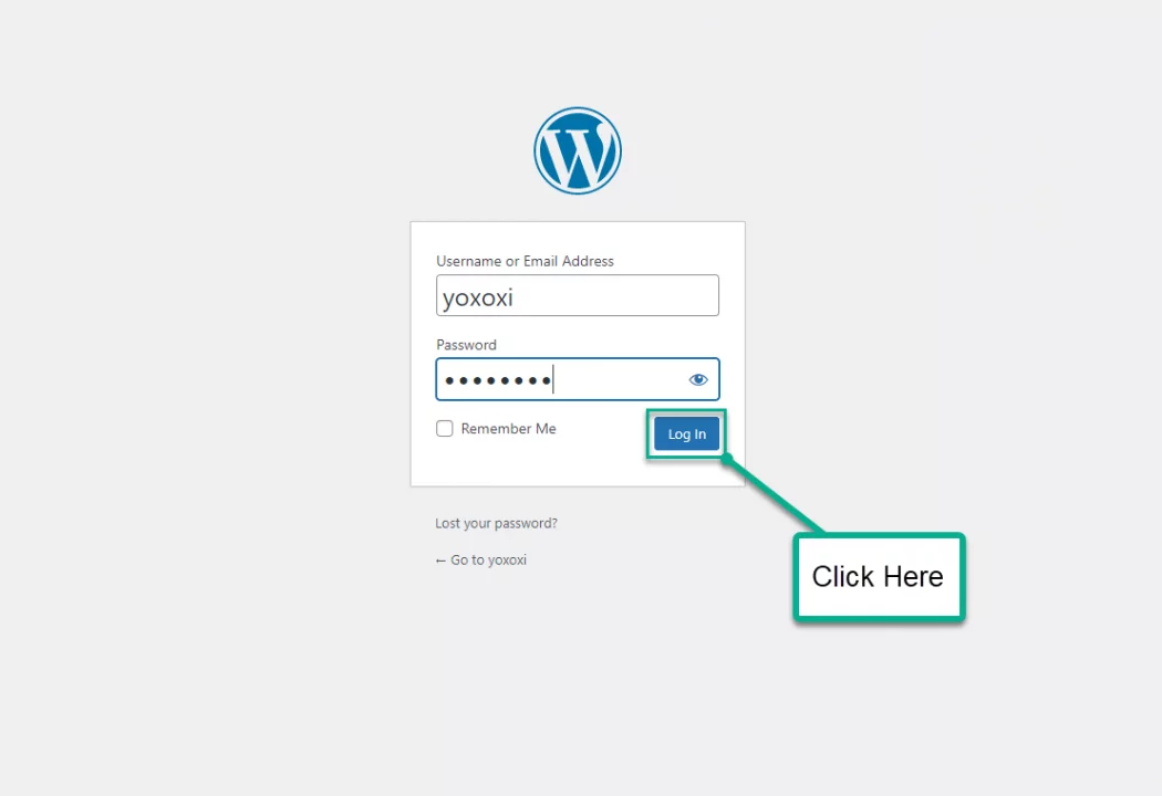 Install WordPress On Sandbox - Login to WordPress Test Site