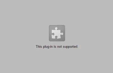 Web Browser - Common Issues and Fixes for Online Exam WordPress Plugin